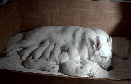 Mama Miray und Geschwister