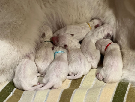 4 Mädchen und 3 Jungs