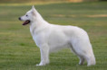 /album/foto-nevis/img-20250720-wa0001-jpg1/