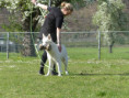 /album/fotogalerie-s-welpen-aktuell/p1050448-jpg/