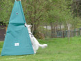 /album/fotogalerie-s-welpen-aktuell/p1050702-jpg/