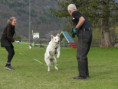 /album/fotogalerie-s-welpen-aktuell/p1050690-jpg/
