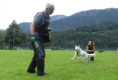 /album/fotogalerie-s-welpen-aktuell/21efc032-cfeb-4a0d-8c96-faffb77cc6ef-jpg1/