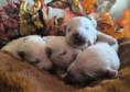/album/2-lebenswoche/658286d4-e9c1-4059-8a95-a892e702d402-jpeg/