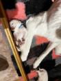 /album/2-lebenswoche/c209f609-865b-4db5-af6b-0fe0a2c52e6a-jpeg/