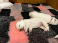 /album/2-lebenswoche/f669ce45-d29b-4a84-8999-ac83b6763017-jpeg/