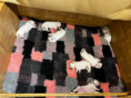 /album/2-lebenswoche/fcd8716a-5f01-475c-9e65-020bc51bdc43-jpeg/