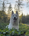 /album/fotogalerie-1-4-lebenswoche/07e8e814-e2ee-4141-8249-e314a4529b6d-jpeg/