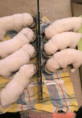 /album/fotogalerie-5-lebenswoche10/56bec85b-6cb5-414c-b9ac-01567b39307f-jpeg/